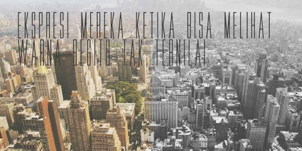 Ekspresi Mereka Ketika Bisa Melihat Warna Begitu Tak Ternilai