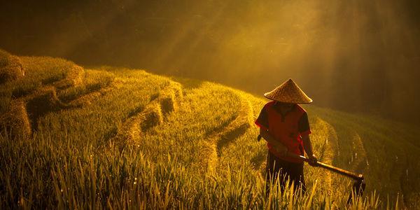 SELAMAT PAGI! Yuk Tambah Semangatmu Di Awal Minggu Ini Dengan 25 Foto Sunrise Ini