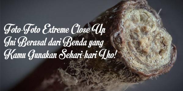 Sumber Gambar: viralscape.com
