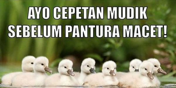 Sebelum Mudik, Ketawa Bareng Yuk Sama Kumpulan Foto-foto di Bawah Ini!