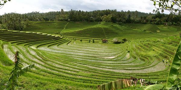 Pasti Kamu Tidak Bisa Menebak Apakah Foto Ini Berasal Dari Indonesia Atau Bukan
