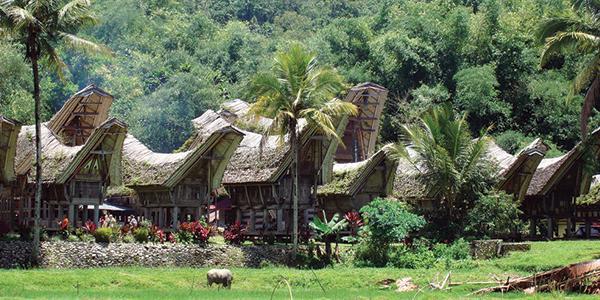 Hobi Travelling Tapi Nggak Pernah Ke Tana Toraja? Rugi Kamu!