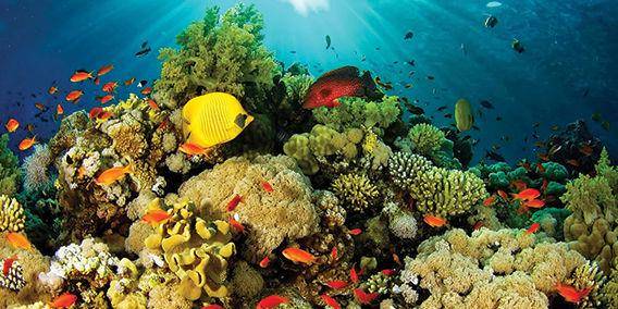 Sumber Gambar: cakrawalatour.com