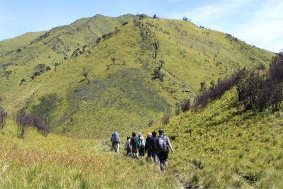 Taman Nasional Gunung Merbabu Terbakar, Api Belum Padam
