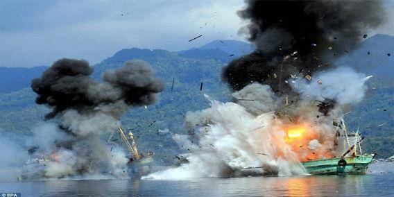 Sumber Gambar: sidomi.com 
