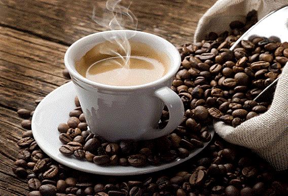 5 Fakta Kopi Luwak, dari Manfaat Kesehatan hingga Harga yang Fantastis