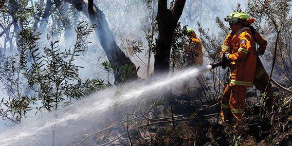 Sumber Gambar: okezone.com