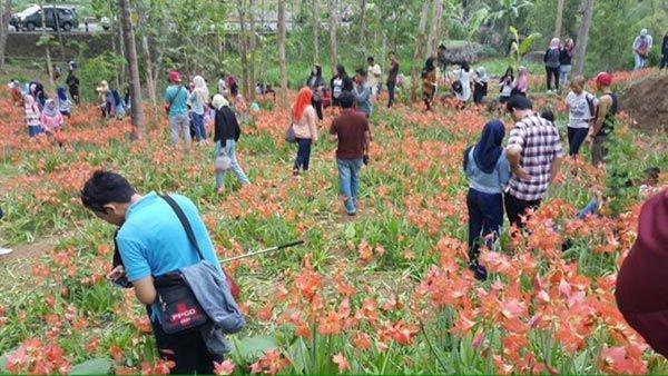 #saveamaryllis: Antara Travelling, Selfie, Aktualisasi Diri, dan Ego Pribadi