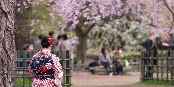 Ngiri Tingkat Dewa Melihat Cantiknya Festival di Jepang Selama Januari-Februari