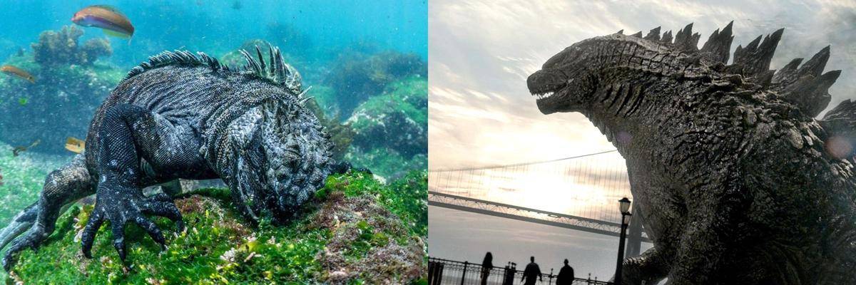 Sumber Gambar: earthtouchnews.com &scified.com