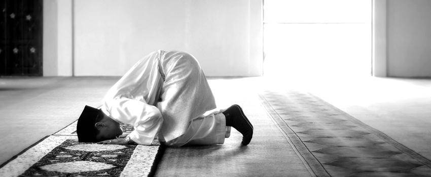 themuslimvibe.com