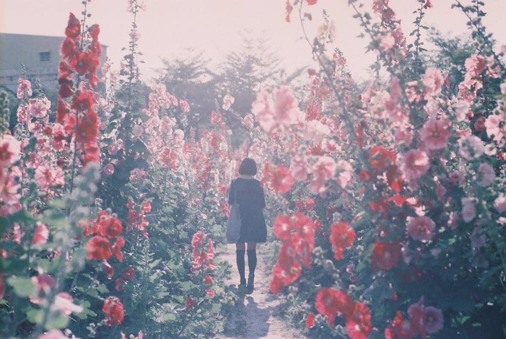 Surat dari Seseorang yang Mencintaimu Habis-Habisan, Tapi Tetap Berani Kau Tinggalkan