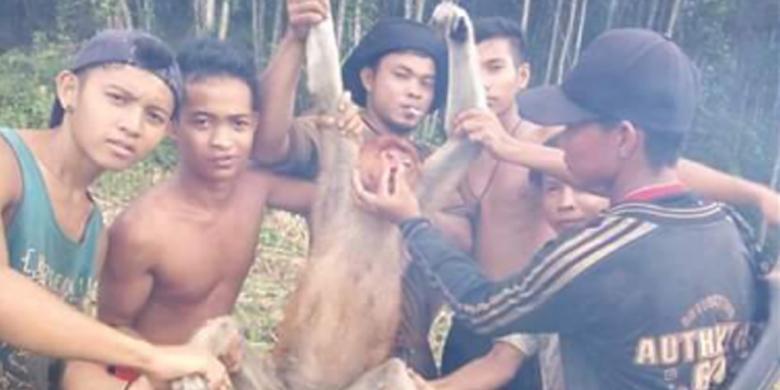Pamer Hasil Buruan Bekantan, 6 Pemuda Ini Diburu Polisi