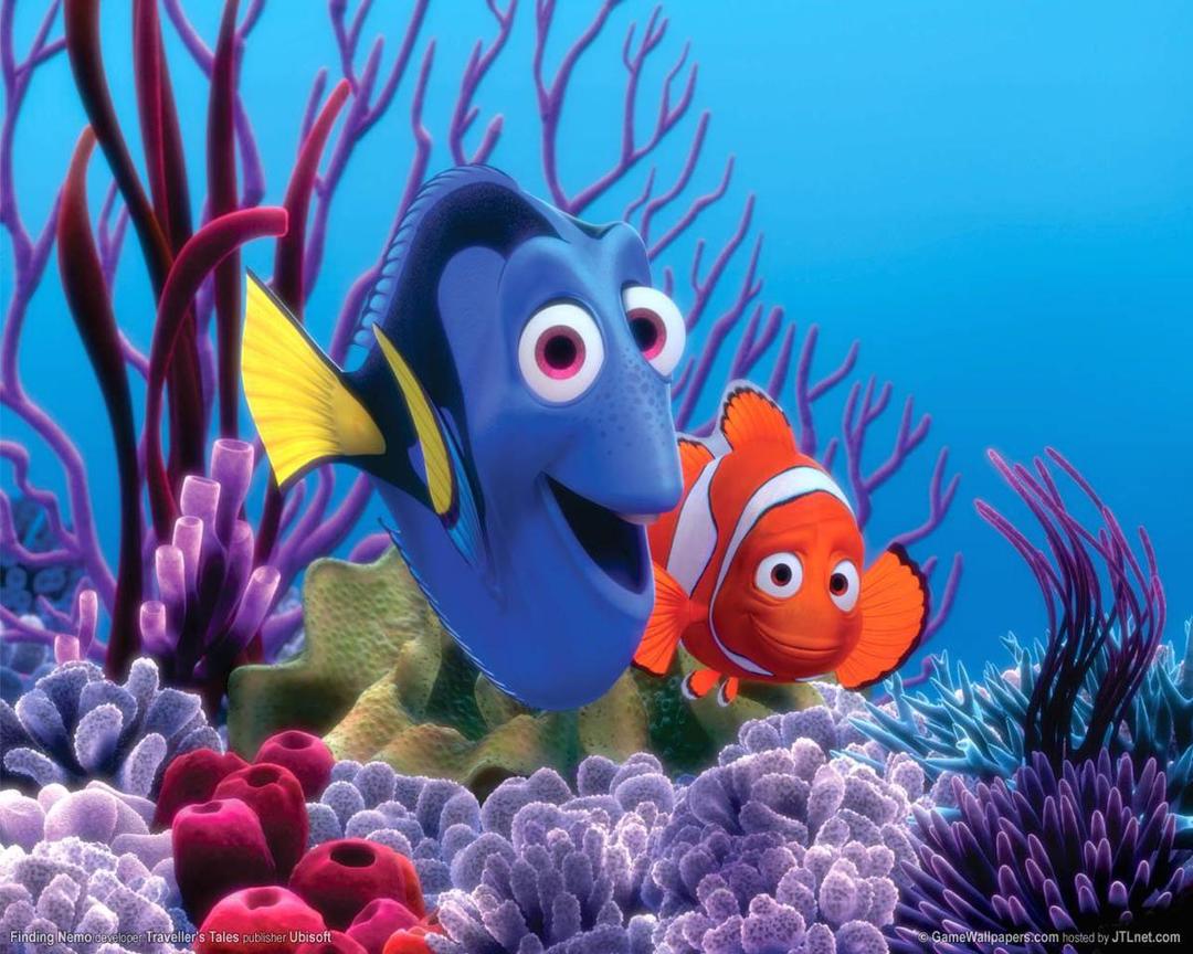 Sebelum Nonton Finding Dory, Baca Dulu 7 Kutipan dari Finding Nemo Ini