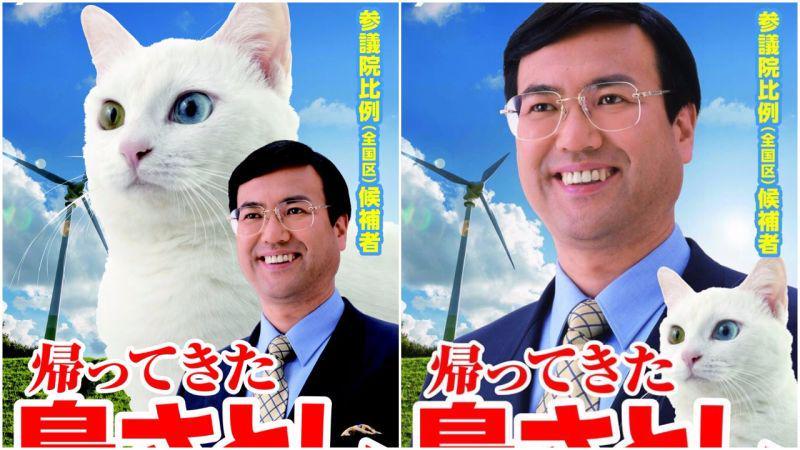 Unik, Politisi Jepang Ini Jadikan Kucing Sebagai Maskot Kampanye Pemilu