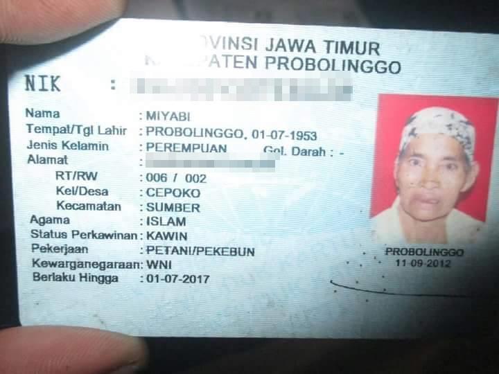 Ternyata Kamu Gak Perlu ke Jepang Untuk Ketemu Miyabi!