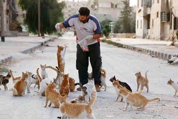 Alih-alih Mengungsi, Pria Suriah Ini Pilih Tinggal untuk Merawat Ratusan Kucing