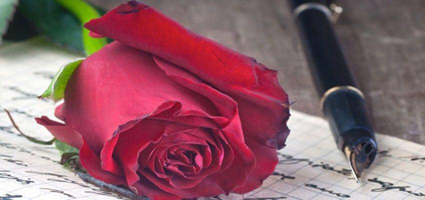 Untukmu Sang Pena. Dariku Sang Pengagum Rahasia