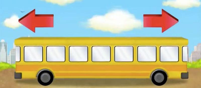 Ke Mana Bus Sekolah Mengarah dan Apa Alasannya? Temukan Di Sini!
