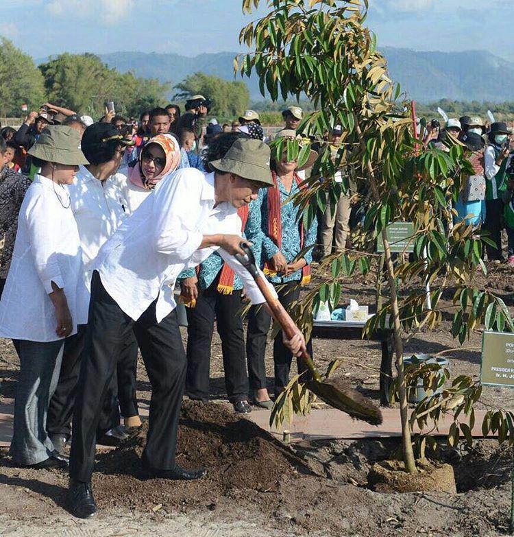 Kegiatan Jokowi Hari Ini Bakal Masuk Guinness Book of Record, Kok Bisa?