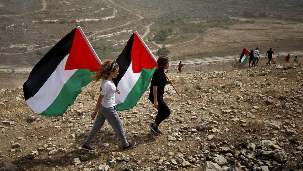 Palestina Bantu Israel Atasi Kebakaran Hebat, Apakah Ini Pertanda Perang Segera Berakhir?