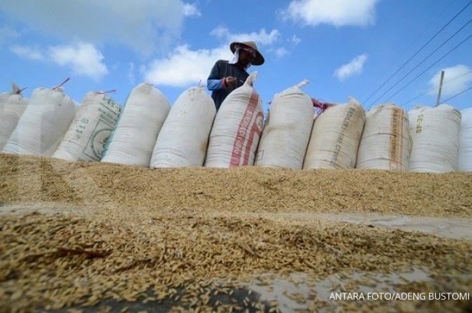 #MahakaryaAyahIbu: Harapan di balik Bulir-bulir Mahakarya Pangan