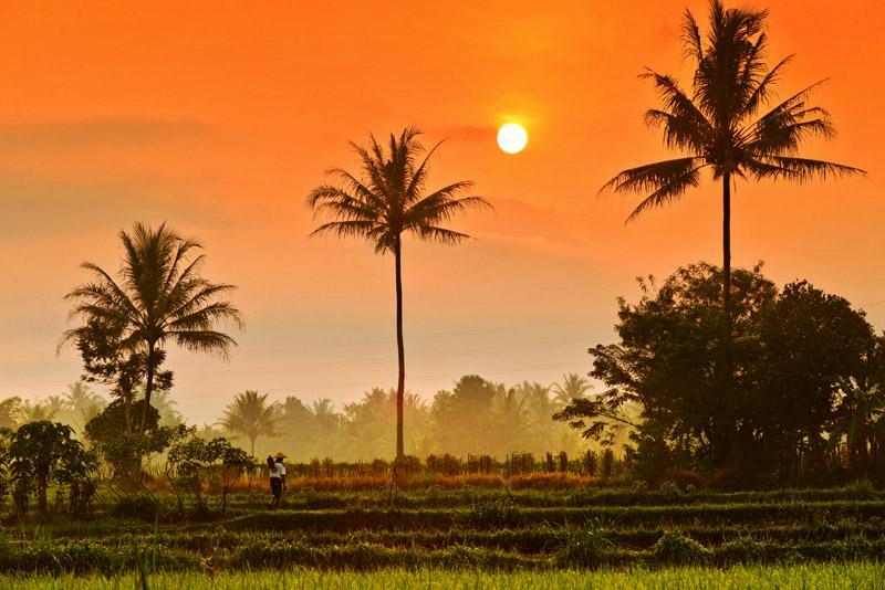 #MahakaryaAyahIbu: Sebatas Mahakarya Anak Desa