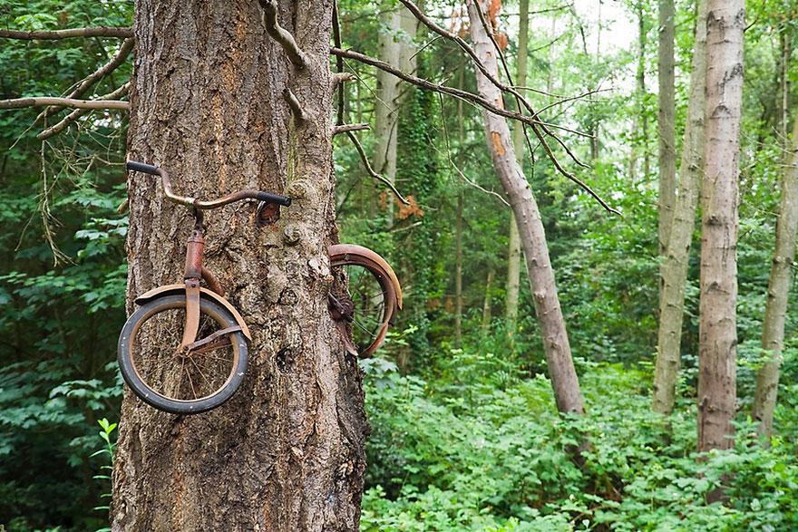 15 Foto Mencekam Buat Kamu Para Penderita Hylophobia