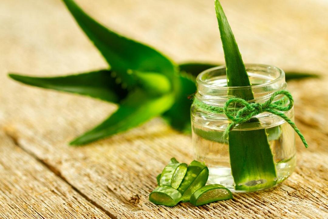 9 Hal Ini Membuktikan Kalau Aloe Vera Layak Dijuluki 'Tanaman 1000 Manfaat'