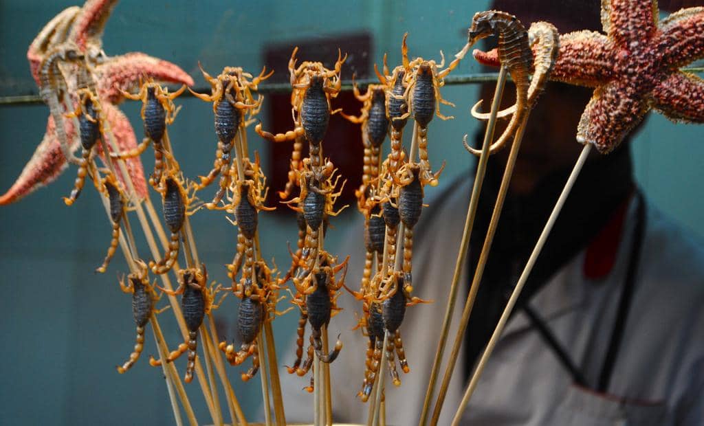 Bikin Ngeri! Ini 9 Makanan Anti Mainstream yang Bakal Kamu Temukan di Tiongkok