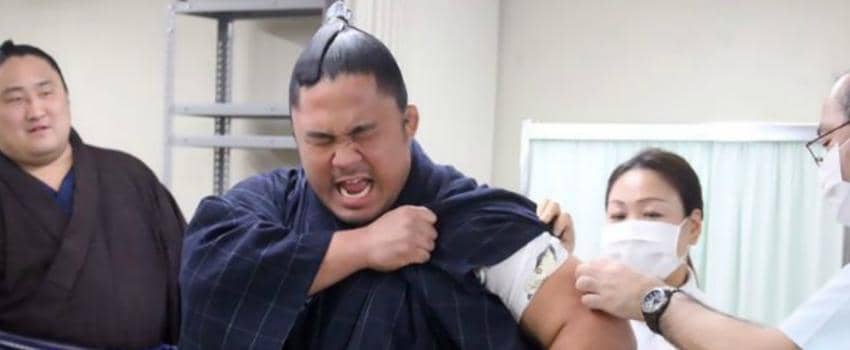 Waduh, Para Pegulat Sumo Ini Merengek Bahkan Menangis Saat Disuntik Anti Flu!