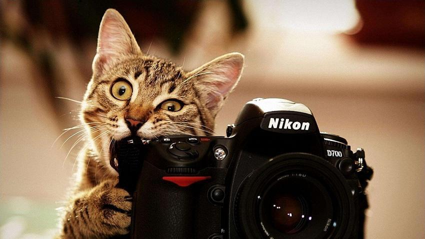 Mengenal 13 Setting-an Dasar Kamera Nikon, Agar Kamu Makin Jago Motret!