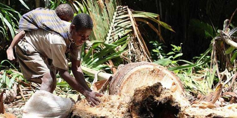 7 Kelebihan yang Cuma Dimiliki Mama-mama Papua
