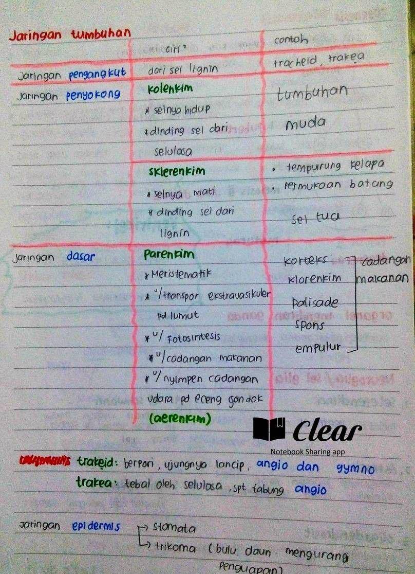 clearnotebooksid.tumblr.com