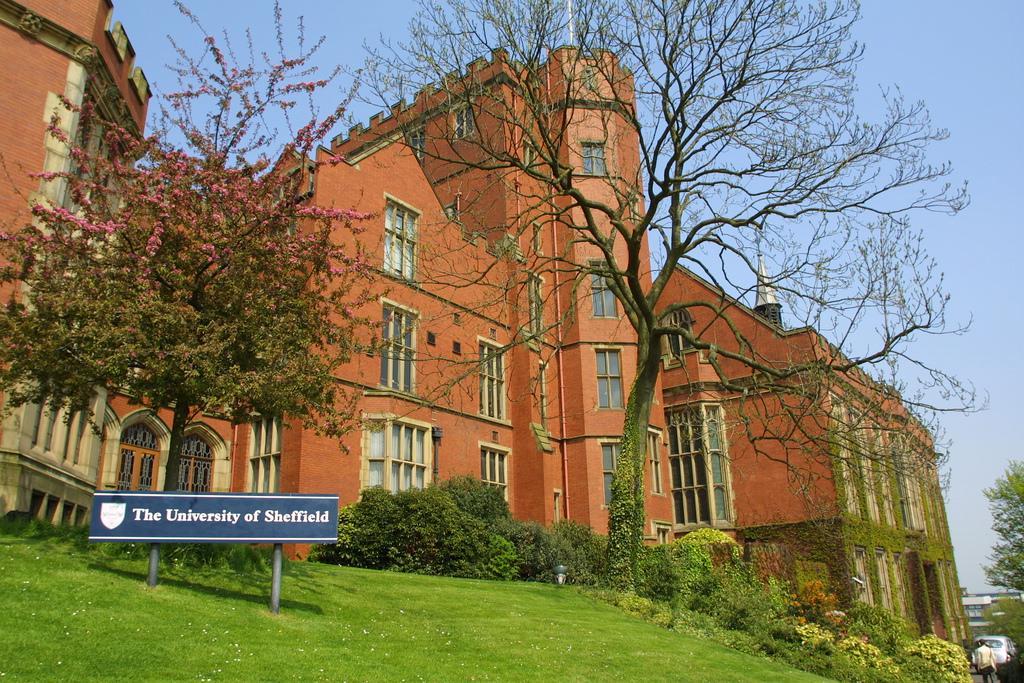 Sheffield: Kota Pelajar di Inggris yang Terkenal dengan University of Sheffield