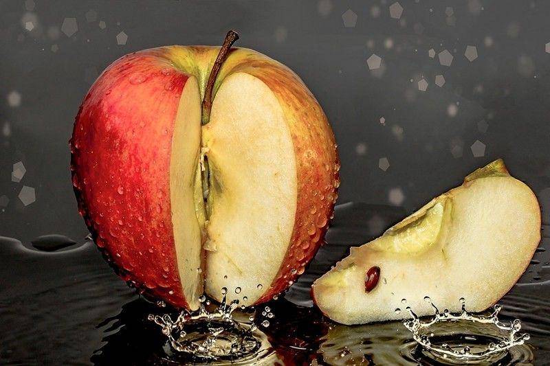 pixabay/Myriams-Fotos