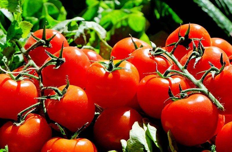 pixabay/Couleur