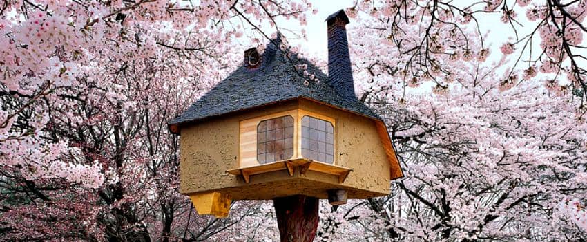 Tengok Keindahan 17 Rumah Pohon Paling Menakjubkan dari Seluruh Dunia