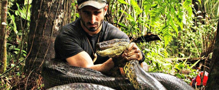 10 Tips Militer tentang Cara Selamat dari Serangan Anaconda Ini Bikin Geleng Kepala