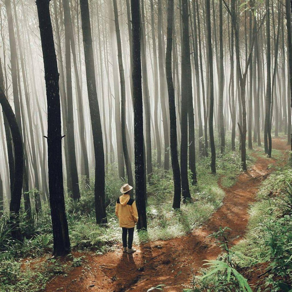 10 Tempat Wisata Ini Bikin Rindumu buat Yogyakarta Makin Membuncah