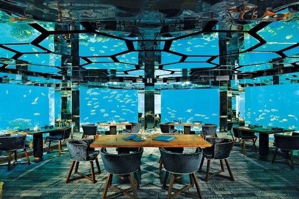 3 Destinasi Restoran Underwater di Maladewa yang Mempesona