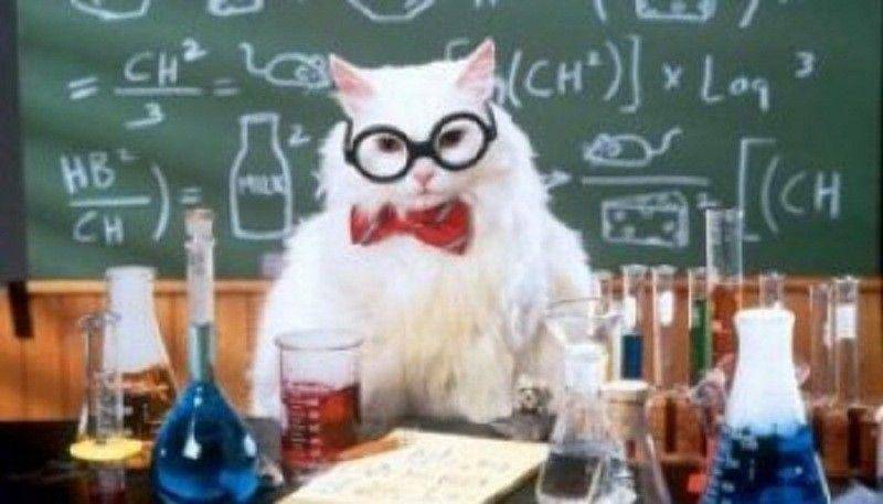 Science Notes and Projects