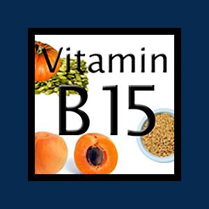 vit B15