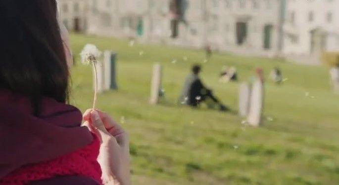 clover-blossoms.com