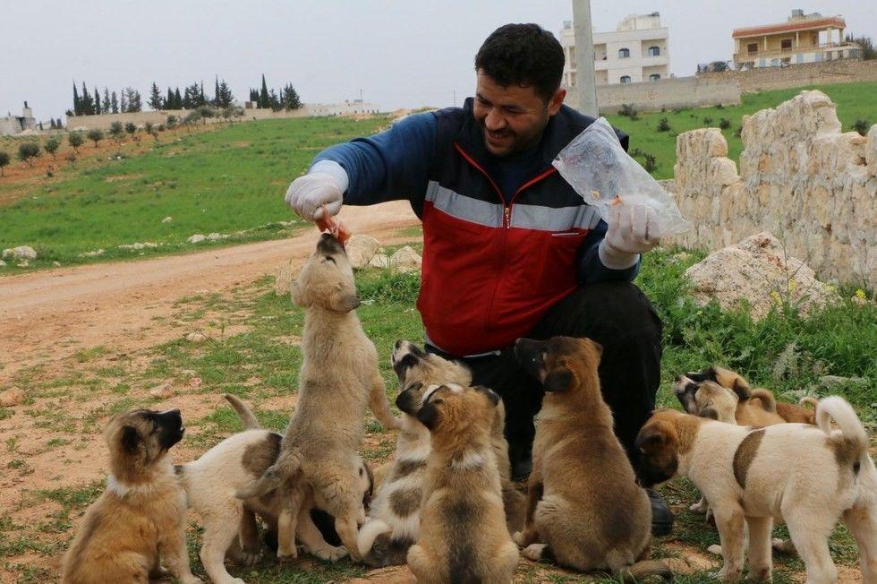 "Pria Kucing dari Aleppo" Ini Kembali untuk Selamatkan Anjing Terlantar di Suriah