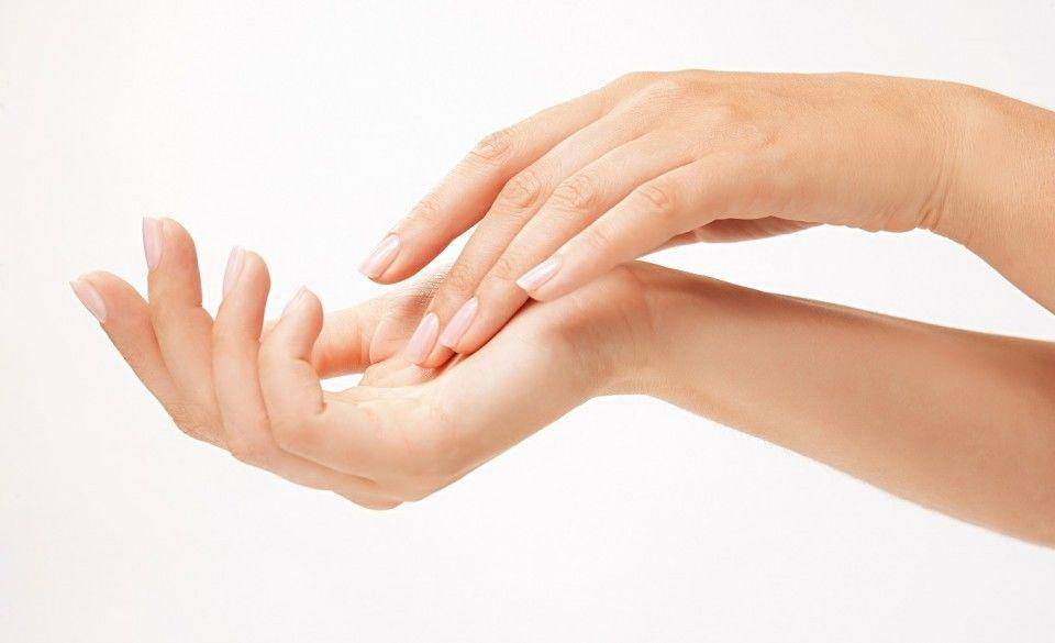 www.acemelia.com
