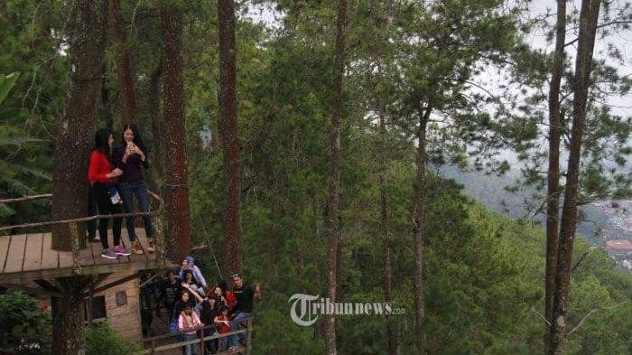 tribunnews.com