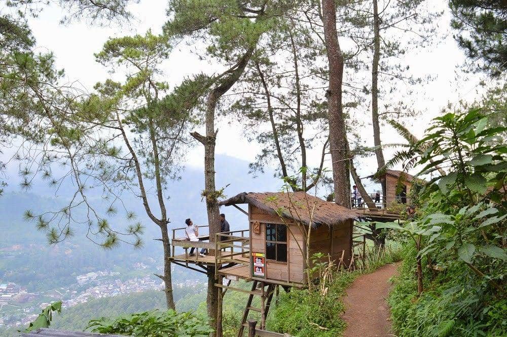 Hobi Travelling yang Menyatu Dengan Alam? Coba Dulu Destinasi "Omah Kayu" di Malang