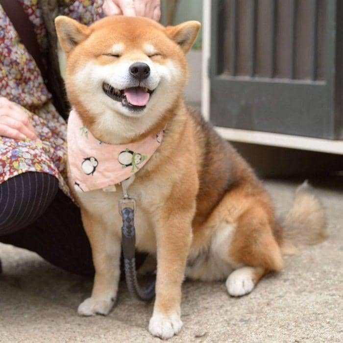 Instragam/ryuji513