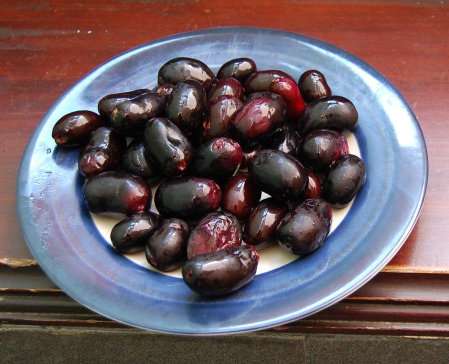 10 Khasiat Rahasia Buah Jamblang/Duwet yang Sering Diabaikan Orang